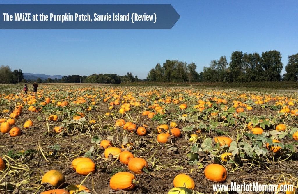 The MAiZE at the Pumpkin Patch {Review} #PDX #OR Portland