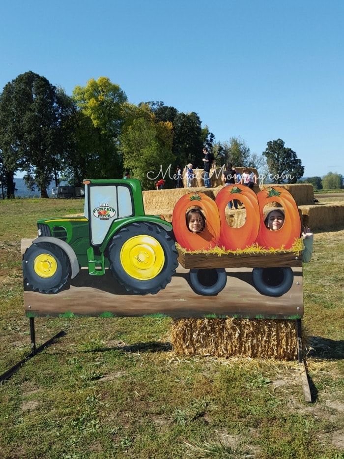 Fall Fun at The Corn MAiZE at the Pumpkin Patch #PDX #OR