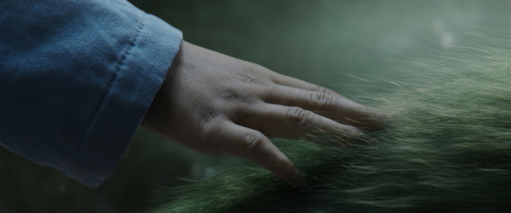 Pete's Dragon Teaser Trailer Now Available