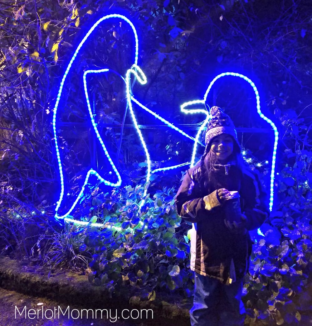 2016 Zoolights at the Oregon Zoo - Penguins