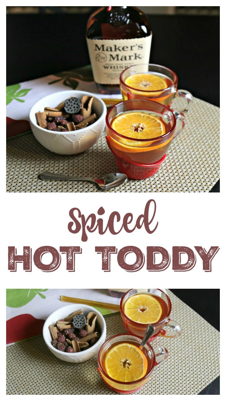 Spiced Hot Toddy Pin